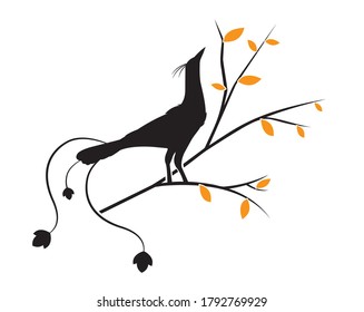Bird on branch, vector. Bird silhouette on tree in autumn. Wall decals isolated on white background. Wall art, artwork, poster design. Minimalist art design