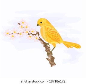 Bird on a branch with white flowers vector illustration 