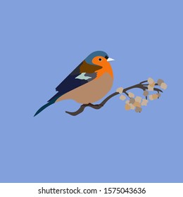 the bird on the branch of a willow on a blue background