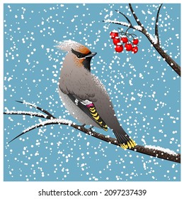 A bird on a branch in winter. Vector illustration