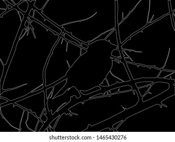 Bird on the branches on a black background painted with white lines.