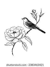 bird on branches camellia flower silhouette hand drawing monochrome vector sketch illustration