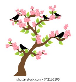 bird on Cherry blossom tree background
