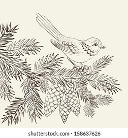 Bird on christmas fir and pinecone. Vector illustration.