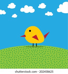 Bird on the field