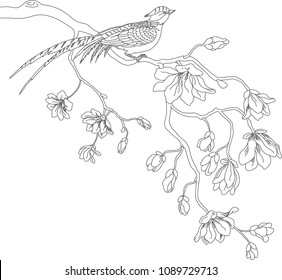 a bird on a flowering branch