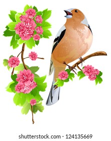 Bird on the flowering branch. vector illustration