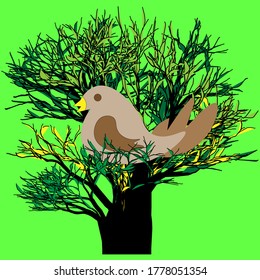 bird on a green tree