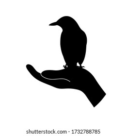 Bird on hand silhouette vector design illustration