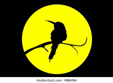 Bird on moon