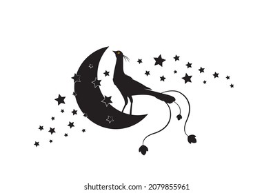 Bird on moon, vector. Bird silhouette on moon illustration isolated on white background. Black and white art design. Minimalist wall art design. Wall decals, wall artwork.