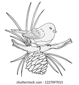 bird on a pine tree with a cone, a picture in gray colors