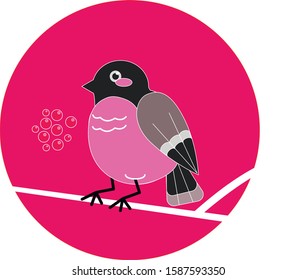bird on a pink background sits on a branch