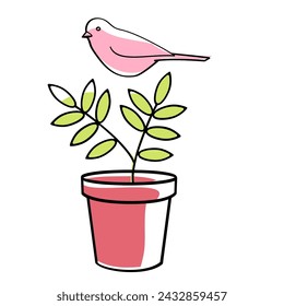 Bird on the plant in pot