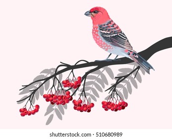Bird on rowan branch