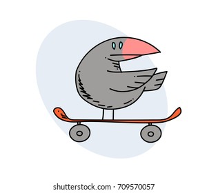 Bird on skateboard cartoon hand drawn image. Original colorful artwork, comic childish style drawing.