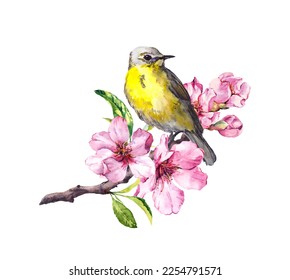 Bird on spring cherry blossom branch. Pink blooming flowers, buds, leaves and songbird on flowering apple twig. Watercolor 