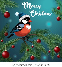 Bird on a spruce branch.Vector Christmas illustration with a bird in a knitted hat on a pine branch with red balls.