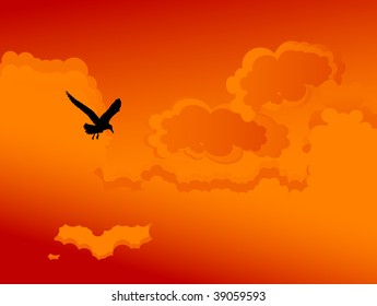 Bird on the sunset sky - vector illustration