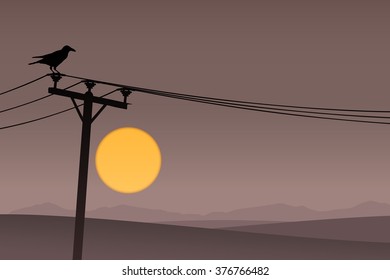 A Bird on Telephone Lines with Dark Sunrise, Sunset