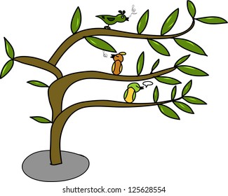 bird on the tree