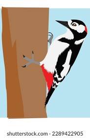 A Bird on the tree