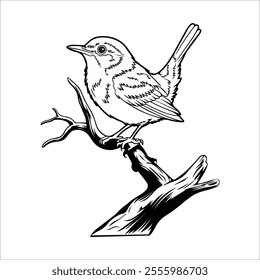 a bird on a tree branch