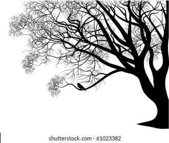 Bird on a tree branch