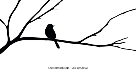 Bird on tree branch silhouette illustration