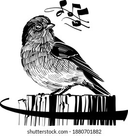 bird on a tree branch sings song 