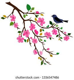 bird on a tree branch. Vector
