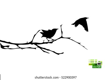 bird on a tree branch. Vector
