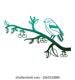 bird on tree cherry branches leaves nature