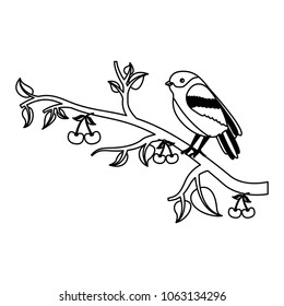 bird on tree cherry branches leaves nature