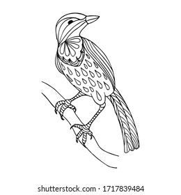 Bird on the tree. Doodle coloring page. Stock vector illustration.