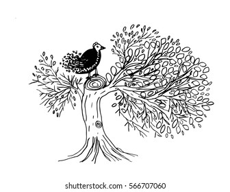 Bird on tree hand drawing illustration black and white.