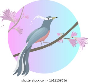 
Bird on a tree for postcard