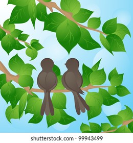 bird on a tree, a spring background