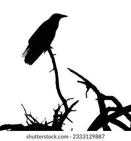 a bird on a tree trunk silhouette