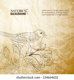 Bird on twig. Vector illustration, contains transparencies, gradients and effects.