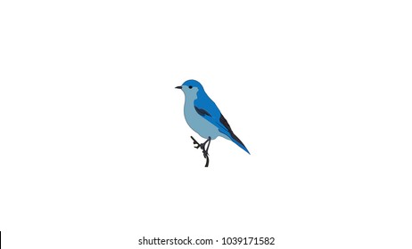 bird on a white background