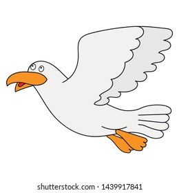 Bird on a white background