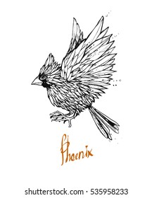 Bird on a white background with a beautiful ornamental feathers. Phoenix. Graphic illustration. It can be used for printing on t-shirts or ideas for tattoos.