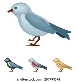Bird on white background. Four variants of color