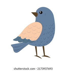 bird on white background icon