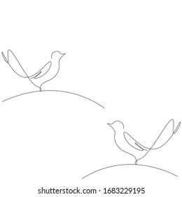 Bird on the white background. Vector illustration.