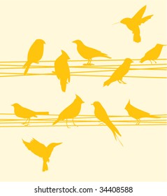 Bird on wires