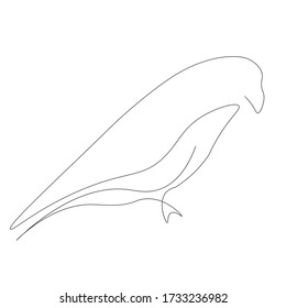 Bird one line drawing isolated on the white background. Vector illustration