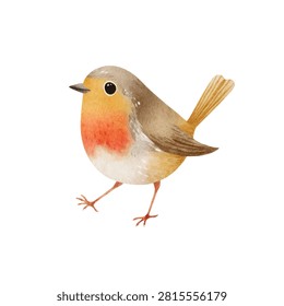 Bird with orange breast and brown wings