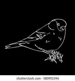 Bird, oriole, chickadee, sparrow, blackbird, nightingale, finch, bunting, hangbird, goldfinch, canary, bullfinch, siskin. Engraving, stencil style. Logo, sign,  symbol. Stamp, seal. Simple sketch.